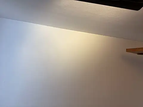 porompomperro online show from February 2, 2025, 12:46 pm