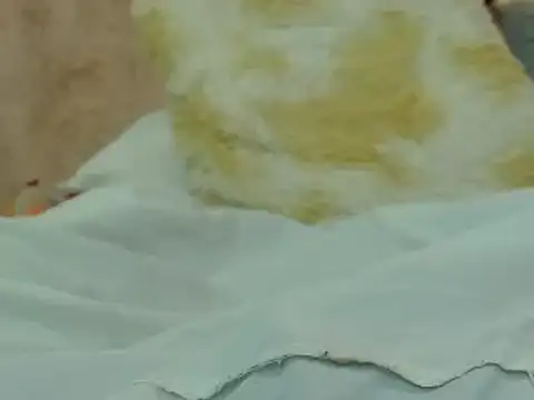 Snapshot of hairy_pussywet chatting on February 4, 2025, 12:40 am hairy pussywet online show from February 4, 2025, 12:40 am