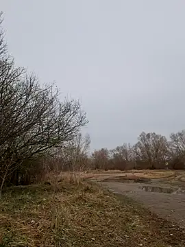 Snapshot of Zeefy chatting on March 11, 2025, 9:56 am Zeefy online show from March 11, 2025, 9:56 am