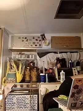 Snapshot of whitetrashdirtyslut chatting on March 12, 2026, 6:28 am whitetrashdirtyslut online show from March 12, 2026, 6:28 am