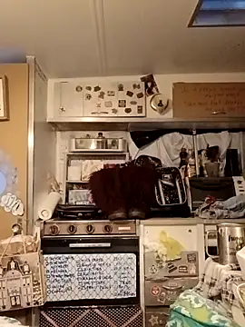 Snapshot of whitetrashdirtyslut chatting on March 18, 2026, 1:13 pm whitetrashdirtyslut online show from March 18, 2026, 1:13 pm
