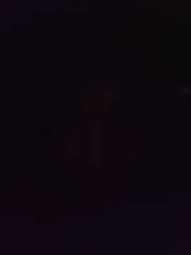 DreamDealerOficial online show from November 14, 2025, 2:26 am