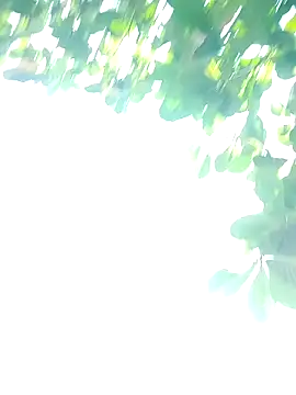 scarleet 17 online show from February 21, 2025, 6:26 pm