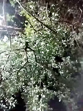 scarleet 17 online show from March 18, 2025, 11:53 pm