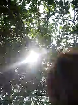 scarleet 17 online show from February 20, 2025, 6:03 pm