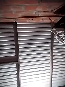 scarleet 17 online show from March 23, 2025, 4:49 am