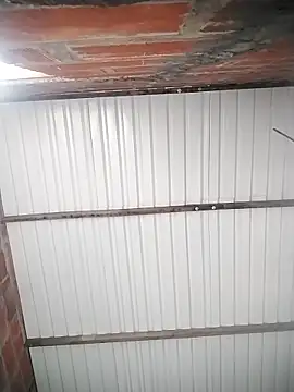 scarleet 17 online show from March 18, 2025, 3:44 pm