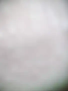 scarleet 17 online show from February 2, 2025, 10:49 pm