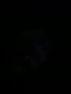 sylviahhh online show from April 3, 2026, 1:56 am