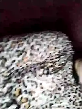 nayakaA7 online show from February 1, 2026, 9:51 am