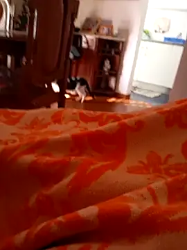 Snapshot of sonia1488 chatting on December 27, 2024, 12:23 pm sonia1488 online show from December 27, 2024, 12:23 pm