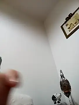 Snapshot of sonia1488 chatting on December 4, 2024, 9:40 pm sonia1488 online show from December 4, 2024, 9:40 pm