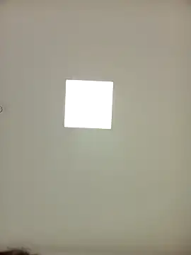 Snapshot of sonia1488 chatting on December 23, 2024, 3:55 pm sonia1488 online show from December 23, 2024, 3:55 pm