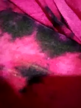 Snapshot of Hotmohni chatting on March 1, 2025, 12:50 am Hotmohni online show from March 1, 2025, 12:50 am