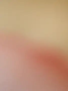 Snapshot of zhenzhen521 chatting on May 19, 2026, 3:19 pm zhenzhen521 online show from May 19, 2026, 3:19 pm