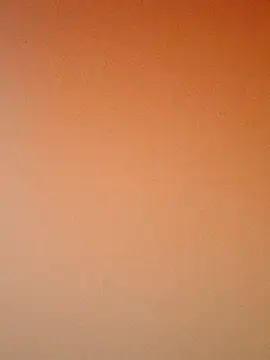 zhenzhen521 online show from November 9, 2025, 2:43 pm