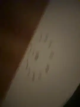 lazoglu0061 online show from March 9, 2025, 12:53 am