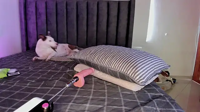 paulina soto online show from April 5, 2026, 8:04 pm