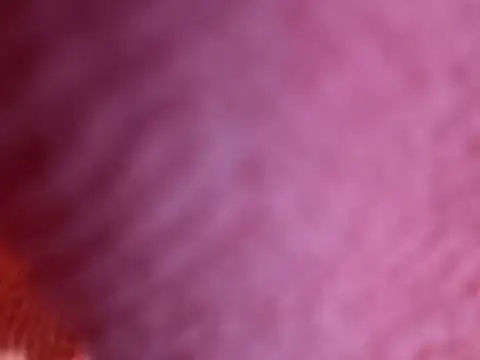 Snapshot of Amarok39 chatting on October 18, 2025, 7:49 pm Amarok39 online show from October 18, 2025, 7:49 pm