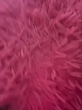 Snapshot of Mia_656 chatting on February 20, 2026, 6:19 am Mia 656 online show from February 20, 2026, 6:19 am