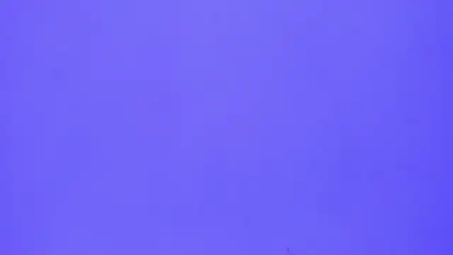 Snapshot of brenda_sofia2 chatting on November 21, 2025, 3:11 pm brenda sofia2 online show from November 21, 2025, 3:11 pm