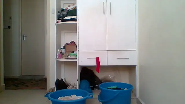 Cookie  dough online show from February 3, 2026, 11:48 am