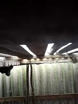 HotSexyBoudi online show from October 12, 2025, 8:26 am