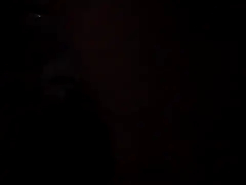 WilldoPita online show from November 5, 2025, 10:51 am