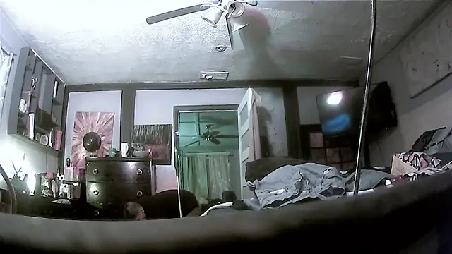 trash4cash online show from March 17, 2026, 2:36 am