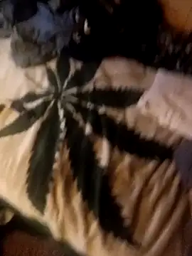 Snapshot of ySqmbVanbe chatting on October 10, 2025, 2:34 am ySqmbVanbe online show from October 10, 2025, 2:34 am