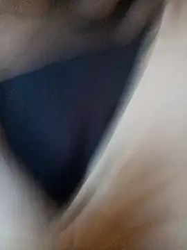 Snapshot of ySqmbVanbe chatting on November 11, 2025, 7:08 pm ySqmbVanbe online show from November 11, 2025, 7:08 pm