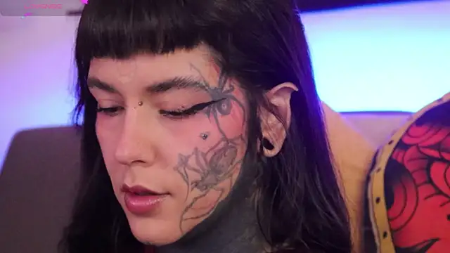 SylveonFox online show from November 20, 2025, 12:50 pm