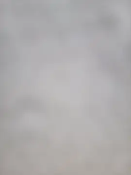 Snapshot of Euphorias55 chatting on December 27, 2024, 7:03 pm Euphorias55 online show from December 27, 2024, 7:03 pm