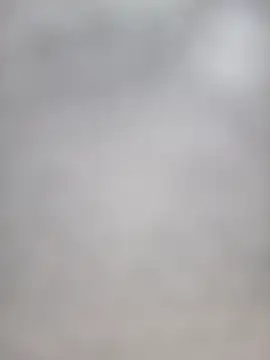 Snapshot of Euphorias55 chatting on December 5, 2024, 7:22 pm Euphorias55 online show from December 5, 2024, 7:22 pm