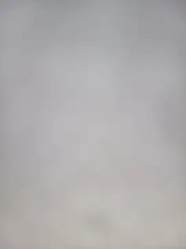 Snapshot of Euphorias55 chatting on January 3, 2025, 7:07 pm Euphorias55 online show from January 3, 2025, 7:07 pm