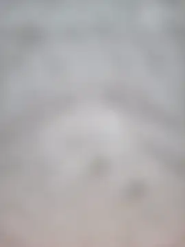 Snapshot of Euphorias55 chatting on January 21, 2025, 6:45 pm Euphorias55 online show from January 21, 2025, 6:45 pm