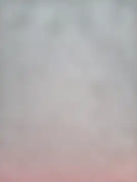 Snapshot of Euphorias55 chatting on December 6, 2024, 7:17 pm Euphorias55 online show from December 6, 2024, 7:17 pm