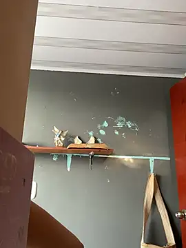 AnithaFigueroa1 online show from January 23, 2025, 12:52 pm