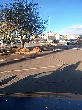 FloppyPickle4u online show from September 9, 2025, 3:10 pm