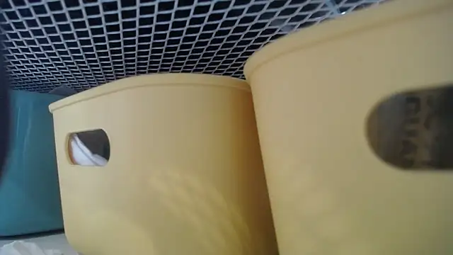 lovense test04 online show from February 27, 2026, 7:30 am