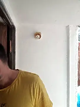 zefside42 online show from October 8, 2025, 12:39 pm