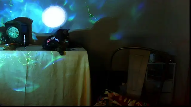 SexWorkerX online show from December 17, 2025, 10:04 pm