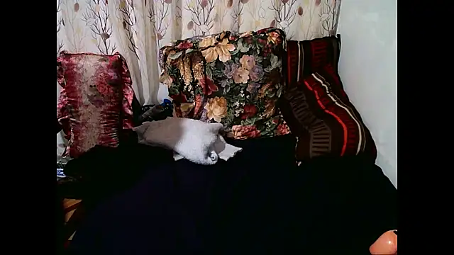 Indian Blaze00 online show from October 13, 2025, 2:13 am