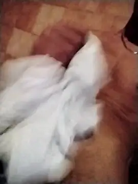 Snapshot of Avelics chatting on March 1, 2025, 11:04 pm Avelics online show from March 1, 2025, 11:04 pm