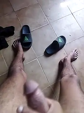 Snapshot of Avelics chatting on February 28, 2025, 4:53 pm Avelics online show from February 28, 2025, 4:53 pm