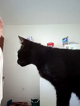 Escarlate4you  online show from March 22, 2026, 9:44 am