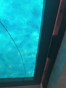 kalakim online show from October 13, 2025, 10:17 am