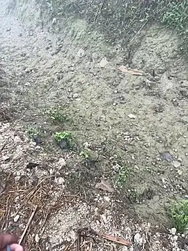 kalakim online show from January 13, 2026, 2:15 am