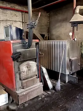 MityaXLoves online show from December 18, 2025, 6:51 am