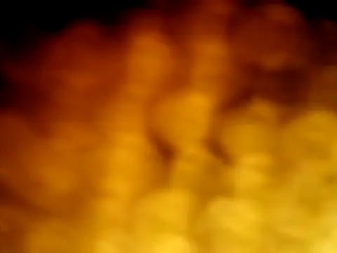 puak6666 online show from April 5, 2026, 5:47 am